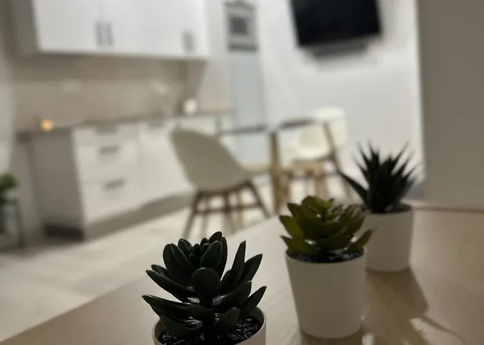 Loft Coqueto Cerca De La Playa